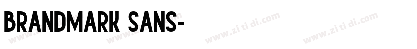 BRANDMARK SANS字体转换